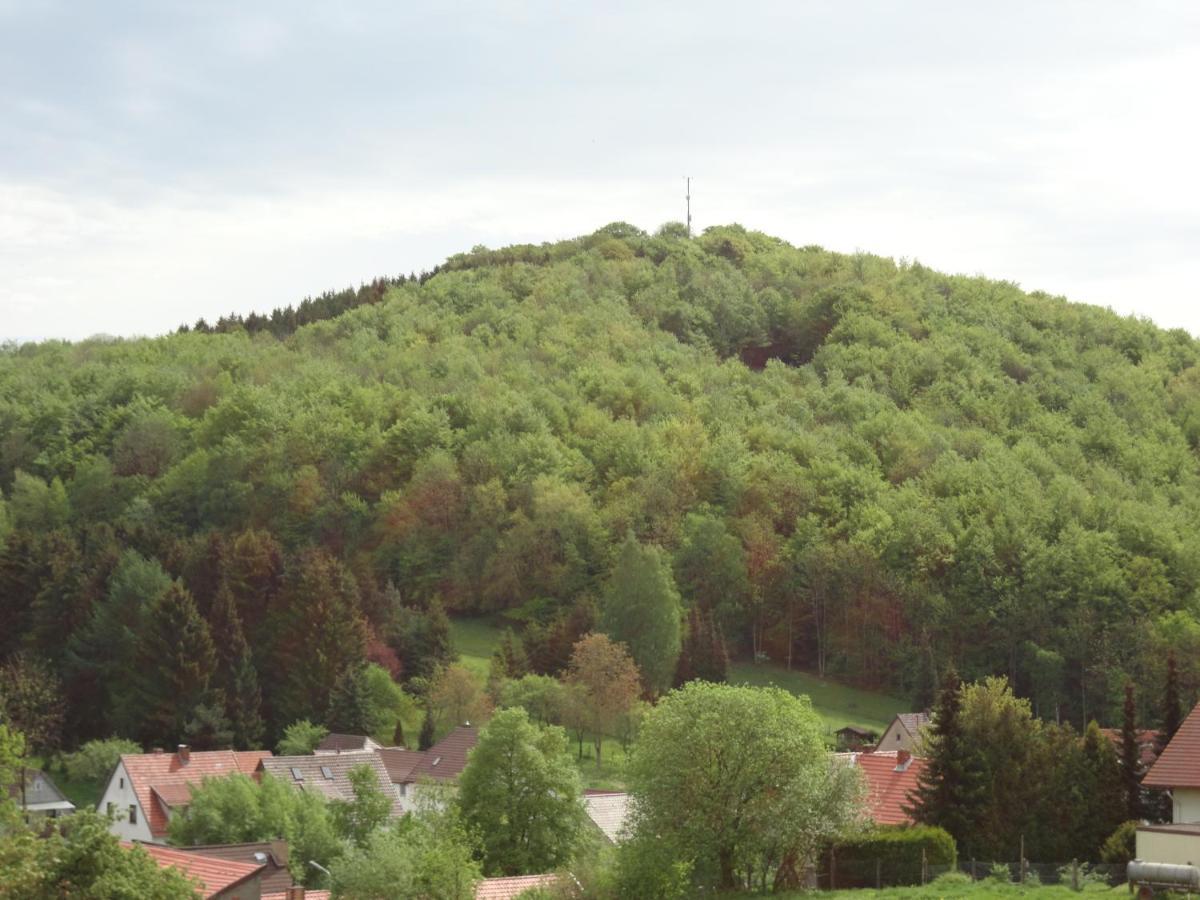 Der Fuchsbau - Fewo Lepetit - Im Sonnigen Harz - Hunde Willkommen - 100M Bis Zum Wald - Free Wlan Apartment Bad Sachsa Exterior photo