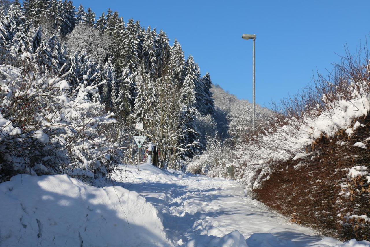 Der Fuchsbau - Fewo Lepetit - Im Sonnigen Harz - Hunde Willkommen - 100M Bis Zum Wald - Free Wlan Apartment Bad Sachsa Exterior photo